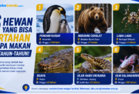 6 Hewan yang Bisa Bertahan Tanpa Makan Bertahun-tahun, OLM hingga 10 Tahun