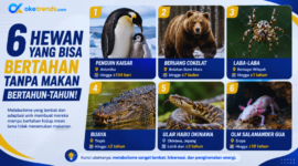 6 Hewan yang Bisa Bertahan Tanpa Makan Bertahun-tahun, OLM hingga 10 Tahun