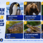 6 Hewan yang Bisa Bertahan Tanpa Makan Bertahun-tahun, OLM hingga 10 Tahun