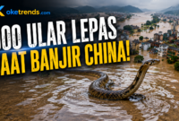 900 ular lepas saat banjir di China