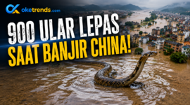 900 ular lepas saat banjir di China