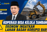 koperasi bisa kelola tambang