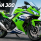 Kawasaki Ninja 300 2027