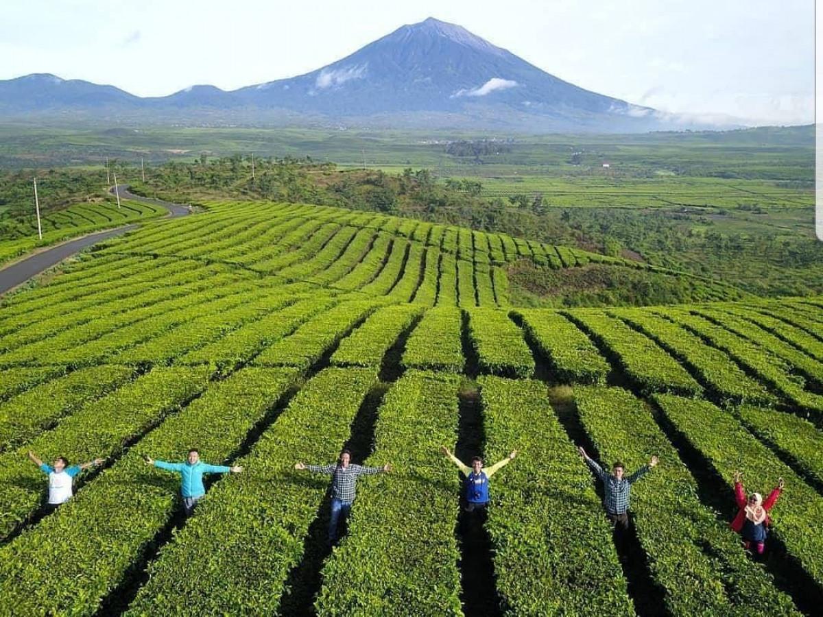 wisata sight-doing di Jambi